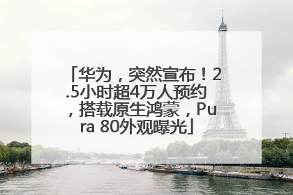 华为，突然宣布！2.5小时超4万人预约，搭载原生鸿蒙，Pura 80外观曝光