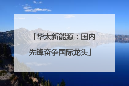 华太新能源：国内先锋奋争国际龙头