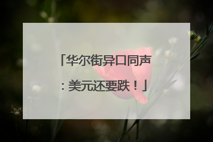 华尔街异口同声：美元还要跌！