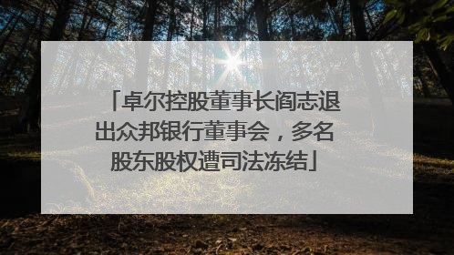 卓尔控股董事长阎志退出众邦银行董事会，多名股东股权遭司法冻结