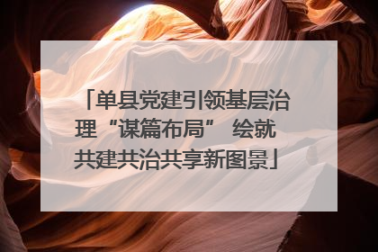 单县党建引领基层治理“谋篇布局” 绘就共建共治共享新图景