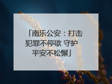 南乐公安：打击犯罪不停歇 守护平安不松懈