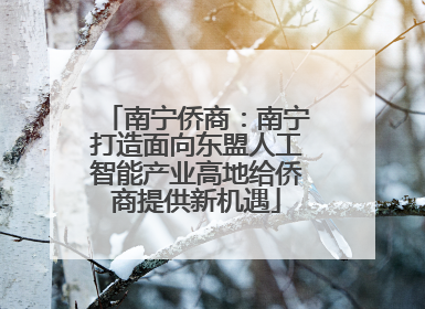 南宁侨商：南宁打造面向东盟人工智能产业高地给侨商提供新机遇