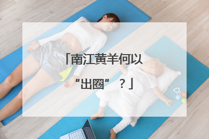 南江黄羊何以“出圈”？