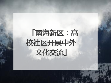 南海新区：高校社区开展中外文化交流