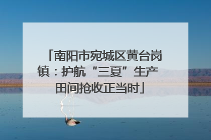 南阳市宛城区黄台岗镇：护航“三夏”生产 田间抢收正当时