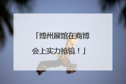 博州展馆在商博会上实力抢镜！