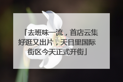 去班味一流，首店云集好逛又出片，天目里国际街区今天正式开街
