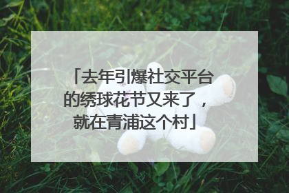 去年引爆社交平台的绣球花节又来了，就在青浦这个村