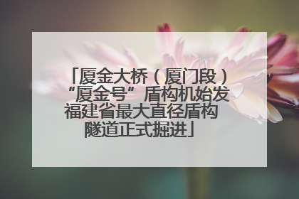 厦金大桥（厦门段）“厦金号”盾构机始发 福建省最大直径盾构隧道正式掘进