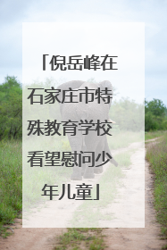倪岳峰在石家庄市特殊教育学校看望慰问少年儿童