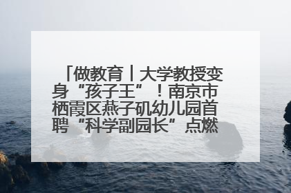 做教育︱大学教授变身“孩子王”！南京市栖霞区燕子矶幼儿园首聘“科学副园长”点燃萌娃科学梦