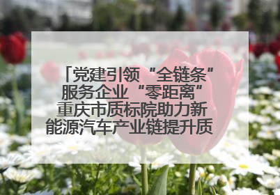 党建引领“全链条” 服务企业“零距离” 重庆市质标院助力新能源汽车产业链提升质量管理水平