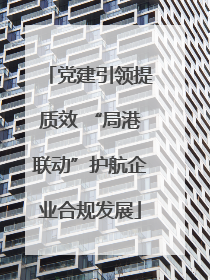 党建引领提质效 “局港联动”护航企业合规发展