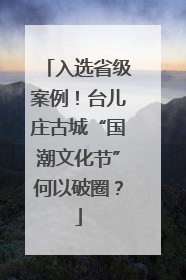 入选省级案例！台儿庄古城“国潮文化节”何以破圈？