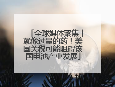 全球媒体聚焦丨就像过量的药！美国关税可能阻碍该国电池产业发展