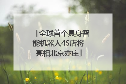 全球首个具身智能机器人4S店将亮相北京亦庄