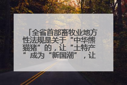 全省首部畜牧业地方性法规是关于“中华熊猫猪”的，让“土特产”成为“新国潮”，让“农产品”升格为“城市IP”