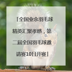 全国业余羽毛球精英汇聚孝感，第二届全国羽毛球邀请赛10日开赛
