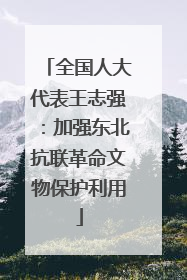 全国人大代表王志强：加强东北抗联革命文物保护利用