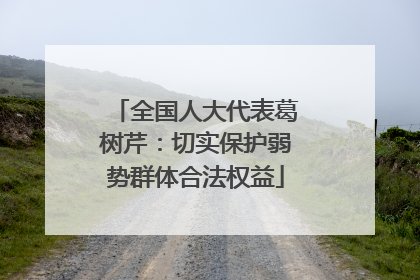 全国人大代表葛树芹：切实保护弱势群体合法权益