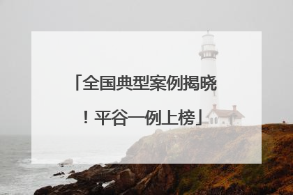 全国典型案例揭晓！平谷一例上榜