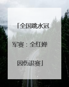 全国跳水冠军赛：全红婵因伤退赛