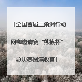 全国首届三角洲行动网咖邀请赛“熊族杯”总决赛圆满收官