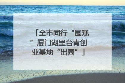 全市同行“围观”厦门湖里台青创业基地“出圈”