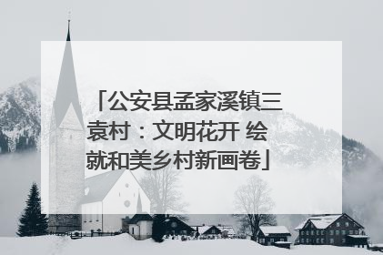 公安县孟家溪镇三袁村：文明花开 绘就和美乡村新画卷