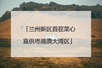 兰州新区首茬菜心直供粤港澳大湾区
