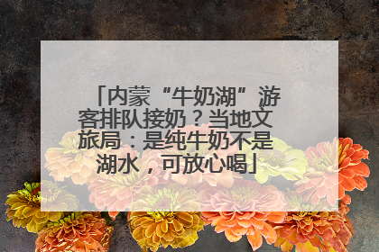 内蒙“牛奶湖”游客排队接奶？当地文旅局：是纯牛奶不是湖水，可放心喝
