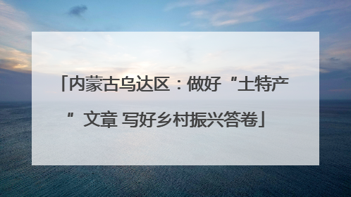 内蒙古乌达区：做好“土特产”文章 写好乡村振兴答卷