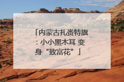 内蒙古扎赉特旗：小小黑木耳 变身“致富花”