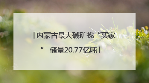 内蒙古最大碱矿找“买家” 储量20.77亿吨
