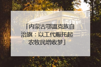 内蒙古鄂温克族自治旗：以工代赈托起农牧民增收梦
