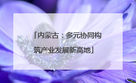 内蒙古：多元协同构筑产业发展新高地