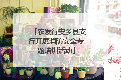农发行安乡县支行开展消防安全专题培训活动