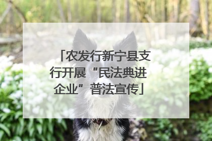 农发行新宁县支行开展“民法典进企业”普法宣传