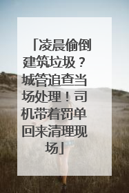 凌晨偷倒建筑垃圾？城管追查当场处理！司机带着罚单回来清理现场