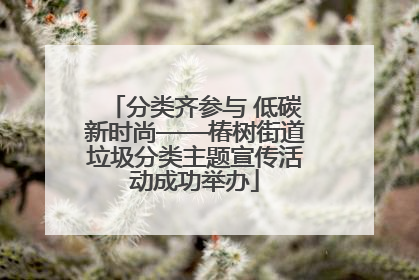 分类齐参与 低碳新时尚——椿树街道垃圾分类主题宣传活动成功举办