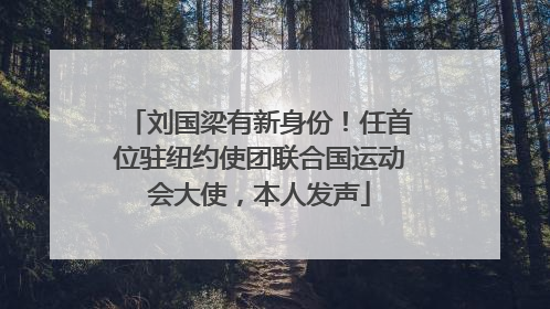 刘国梁有新身份！任首位驻纽约使团联合国运动会大使，本人发声