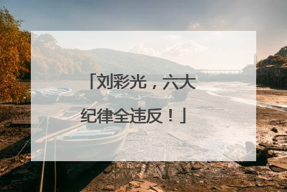 刘彩光，六大纪律全违反！