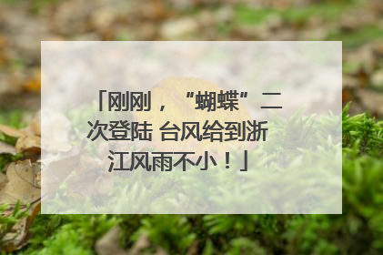 刚刚，“蝴蝶”二次登陆 台风给到浙江风雨不小！