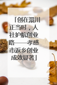 创在澴川正当时，人社护航创业路——孝感市返乡创业成效显著