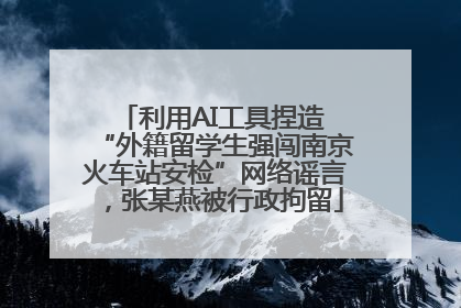利用AI工具捏造 “外籍留学生强闯南京火车站安检”网络谣言，张某燕被行政拘留