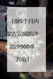 前5个月内蒙古完成防沙治沙900余万亩