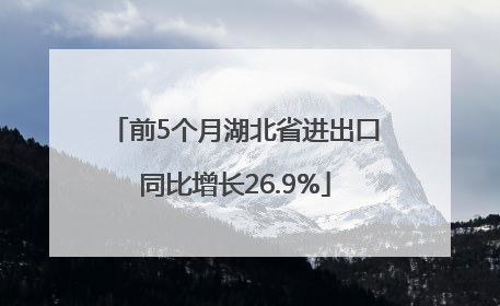 前5个月湖北省进出口同比增长26.9%