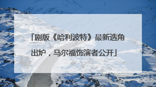 剧版《哈利波特》最新选角出炉，马尔福饰演者公开