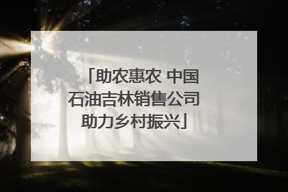 助农惠农 中国石油吉林销售公司助力乡村振兴